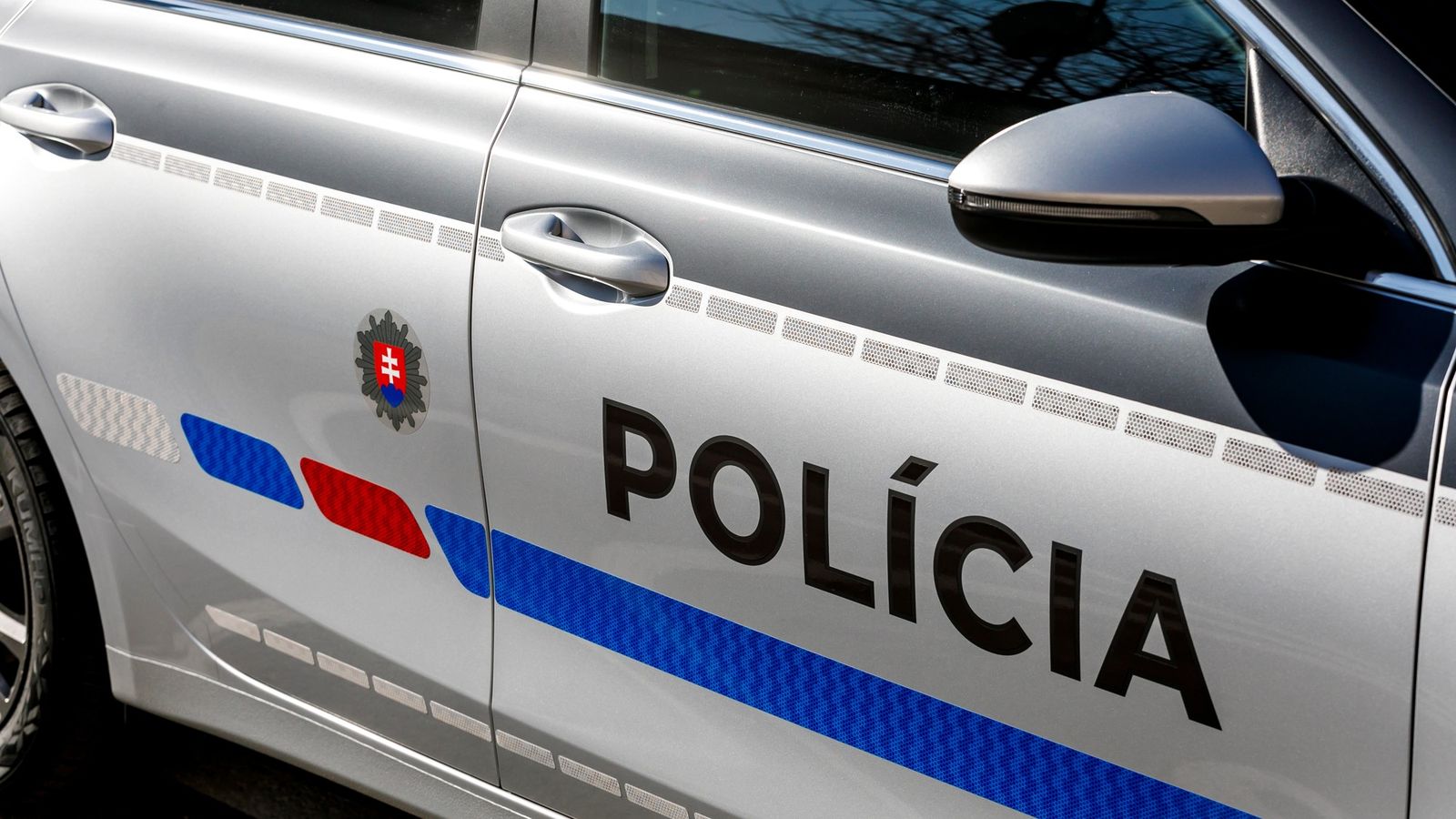 Zdroj: TASR/Dano Veselský