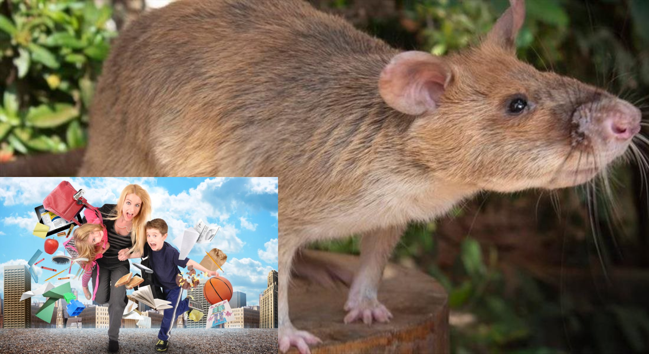 FOTODROJ: FACEBOOK/INSTAGRAM